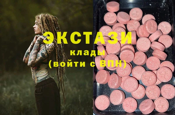 твердый Богданович