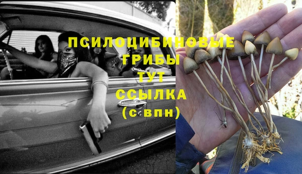 круглые Богородицк