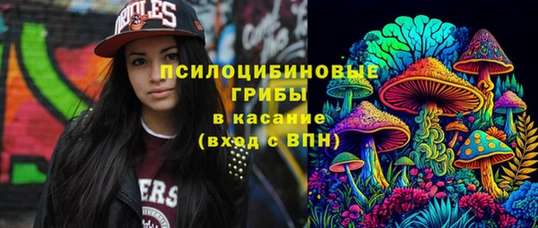 твердый Богданович