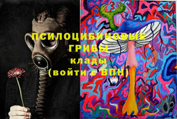 твердый Богданович