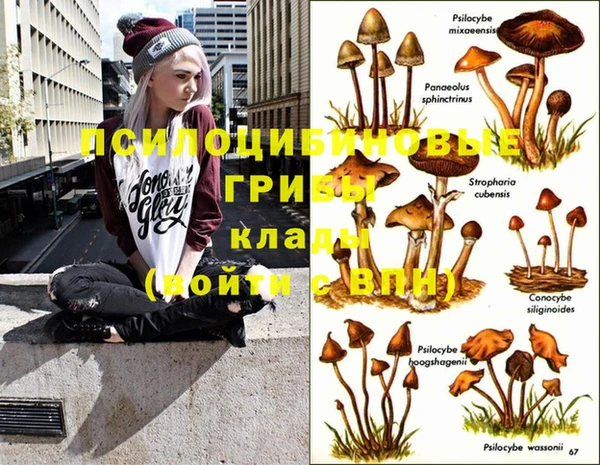 круглые Богородицк