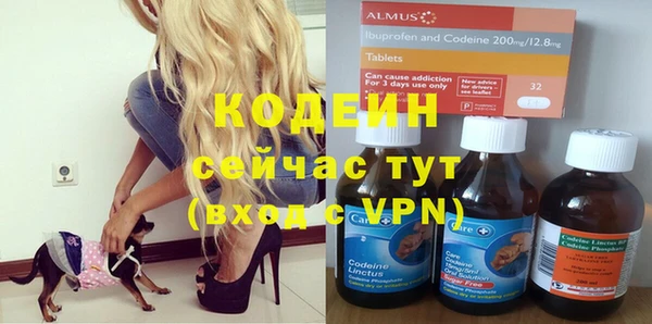 твердый Богданович