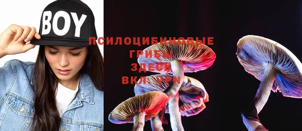 твердый Богданович