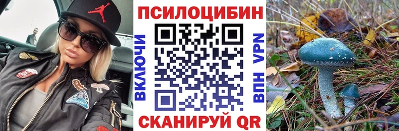 Галлюциногенные грибы Psilocybe  Купить закладки  Мглин 