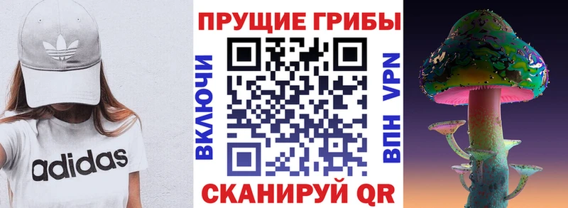 Галлюциногенные грибы Psilocybe Мглин