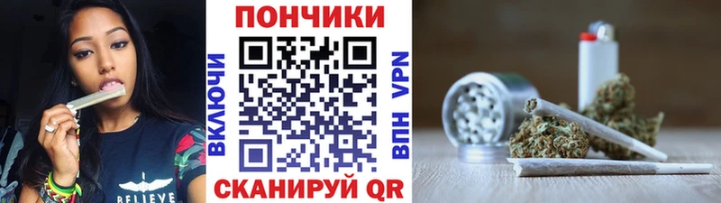 Шишки марихуана конопля  Купить где  Мглин 